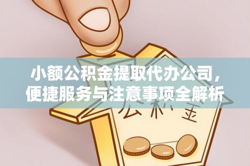 利川小额公积金提取代办公司，便捷服务与注意事项全解析