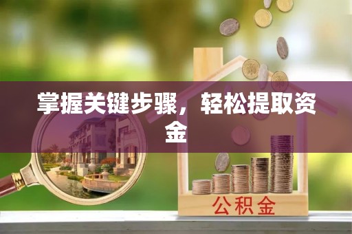 利川掌握关键步骤，轻松提取资金