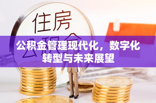 利川公积金管理现代化，数字化转型与未来展望