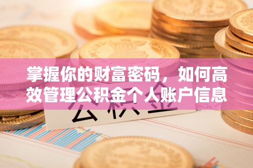 利川掌握你的财富密码，如何高效管理公积金个人账户信息