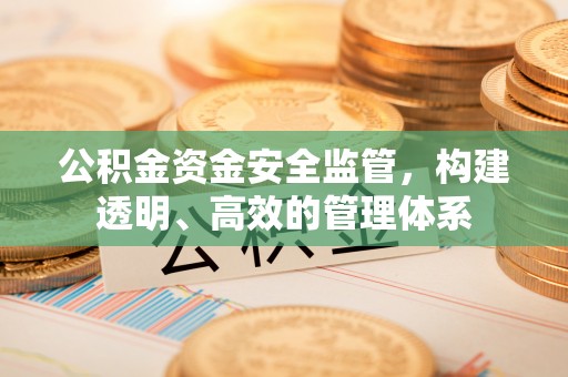 利川公积金资金安全监管，构建透明、高效的管理体系