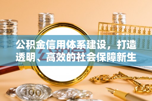 利川公积金信用体系建设，打造透明、高效的社会保障新生态
