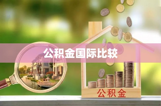 利川公积金国际比较