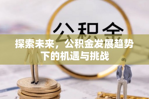 利川探索未来，公积金发展趋势下的机遇与挑战
