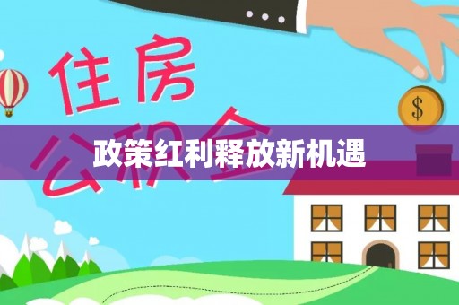 利川政策红利释放新机遇