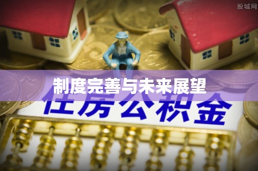 利川制度完善与未来展望