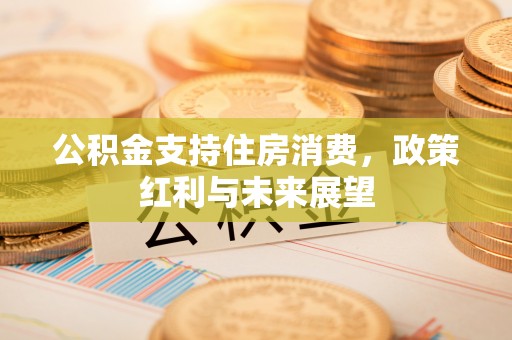 利川公积金支持住房消费，政策红利与未来展望