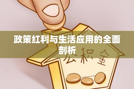 利川政策红利与生活应用的全面剖析