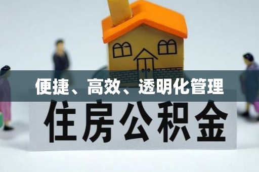 利川便捷、高效、透明化管理