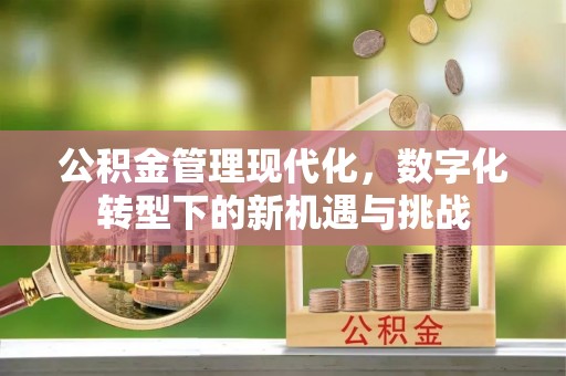 利川公积金管理现代化，数字化转型下的新机遇与挑战