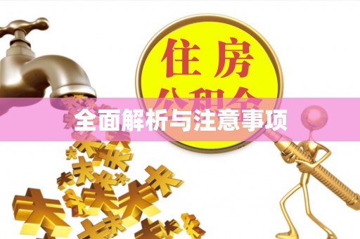 利川全面解析与注意事项