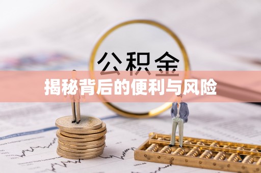利川揭秘背后的便利与风险