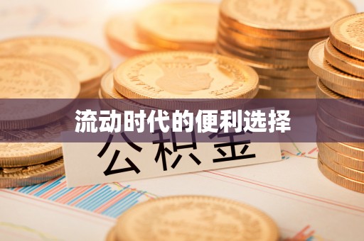 利川流动时代的便利选择